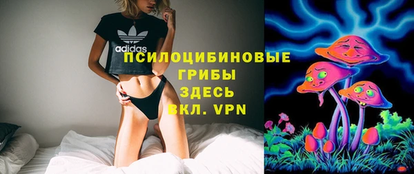 соль ск Горнозаводск