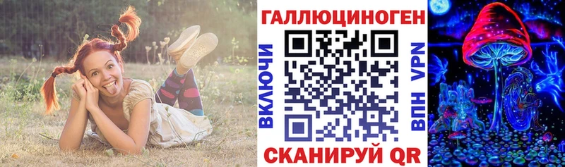 Псилоцибиновые грибы Cubensis  hydra вход  Злынка 
